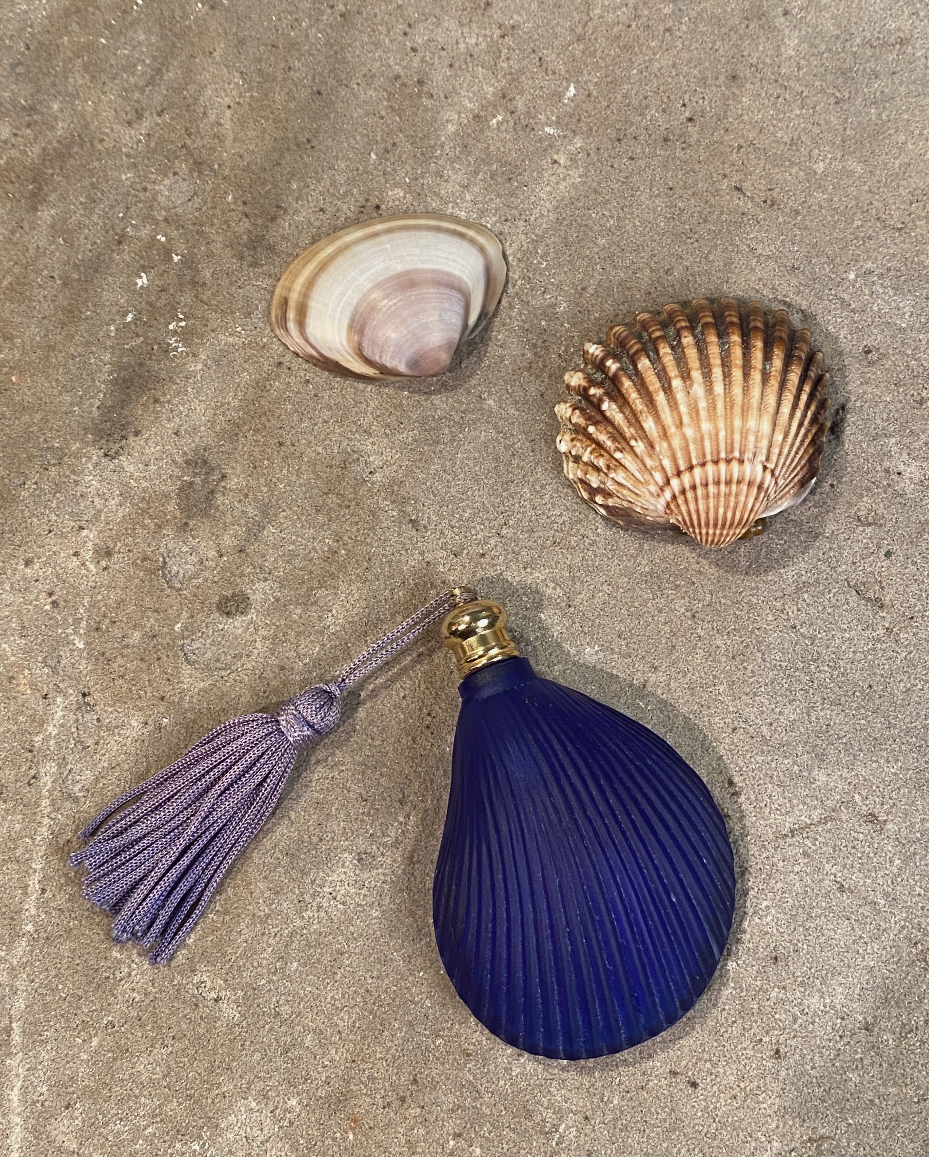 Écrin à parfum coquillage