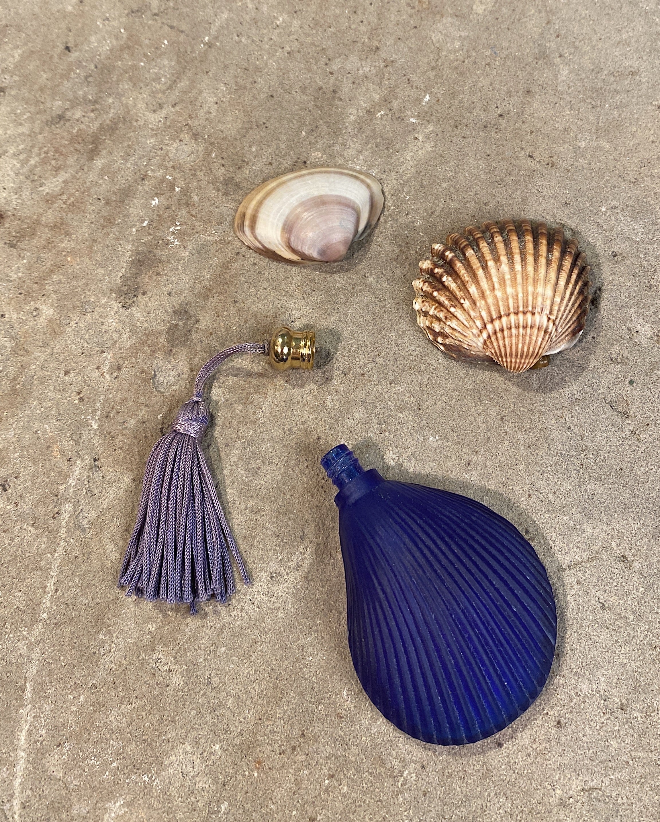 Écrin à parfum coquillage